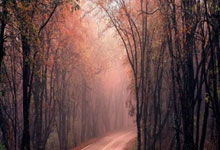 [国足]U17亚洲杯预选赛：中国VS马尔代夫.