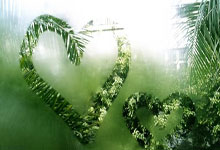 [CBA]新疆迎战辽宁 以不变应万变.