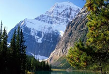 篮球公园曾凡博.